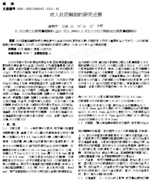 成人软腭解剖的研究进展_cropped
