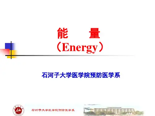 新版能量(Energy)精华版.ppt