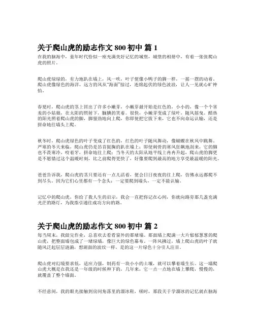 关于爬山虎的励志作文800初中