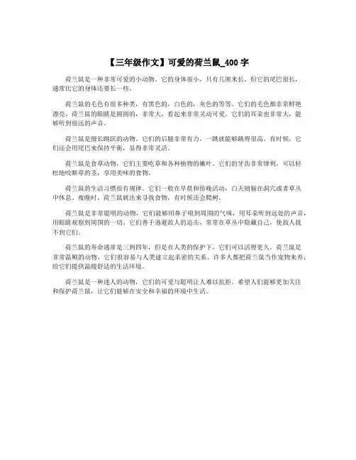 【三年级作文】可爱的荷兰鼠_400字