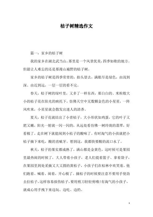 桔子树精选作文_1