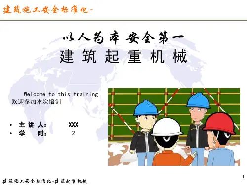 建筑施工安全标准化6-建筑起重机械