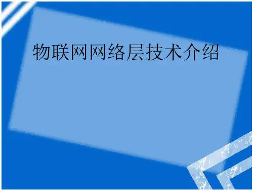 物联网网络层技术