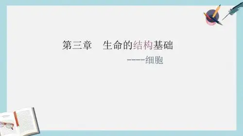沪科版高中生命科学第一册第三章《生命的结构基础》ppt课件2