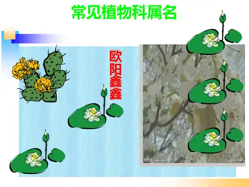 常见植物科属名