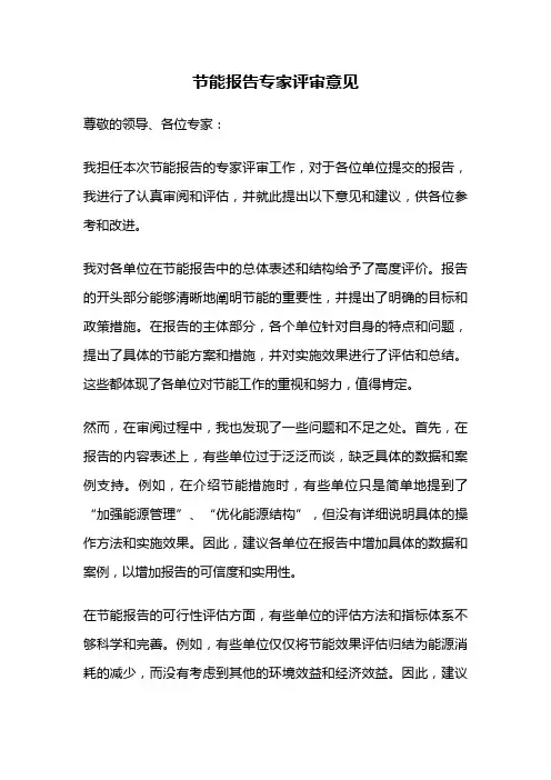 节能报告专家评审意见