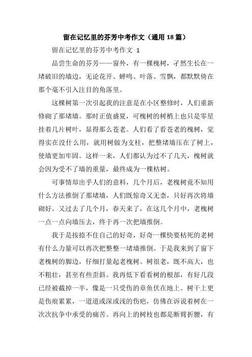 留在记忆里的芬芳中考作文(通用18篇)