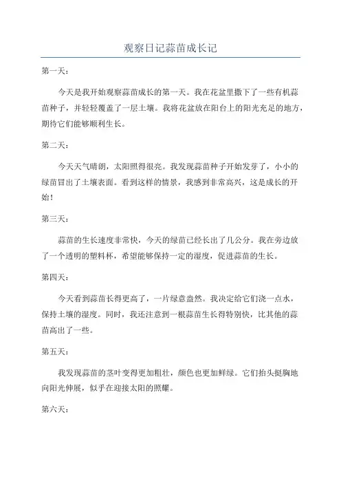 观察日记蒜苗成长记