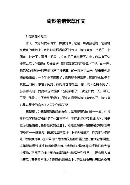奇妙的猪笼草作文