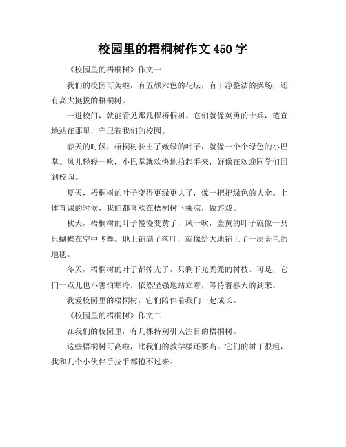 校园里的梧桐树作文450字