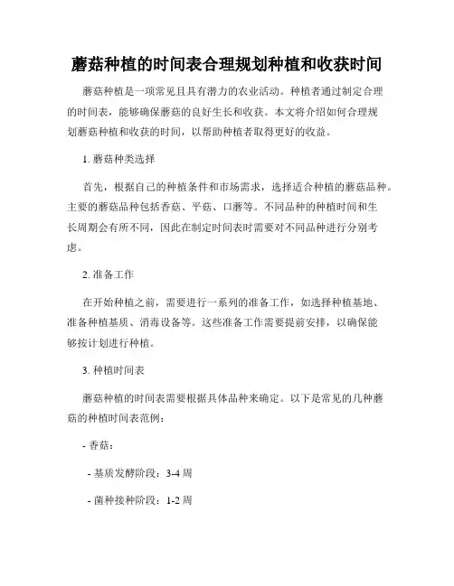 蘑菇种植的时间表合理规划种植和收获时间