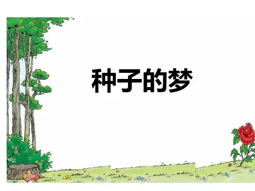 《种子的梦》课件