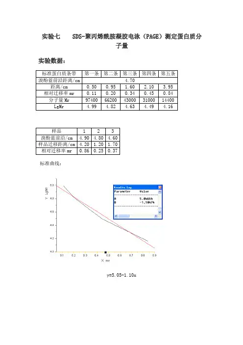 SDS-聚丙烯酰胺凝胶电泳(PAGE)测定蛋白质分子量