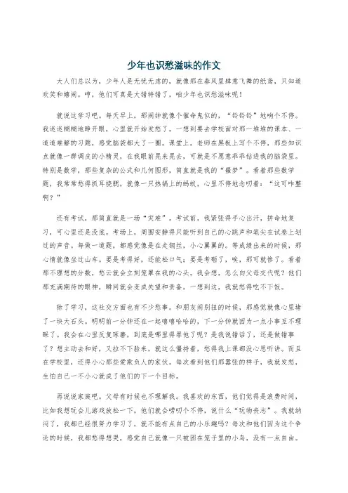 少年也识愁滋味的作文