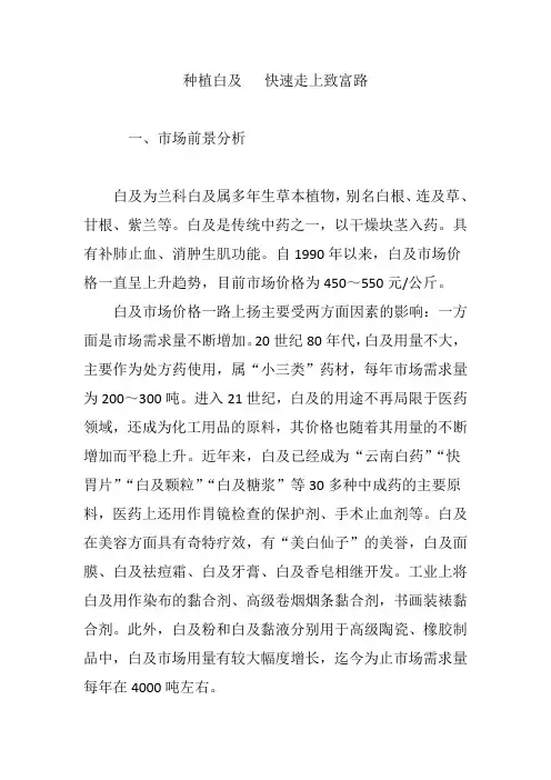 种植白及   快速走上致富路