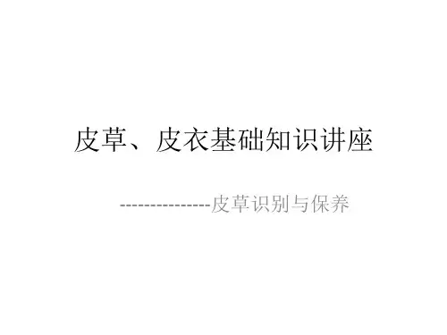 皮衣、皮草基础知识