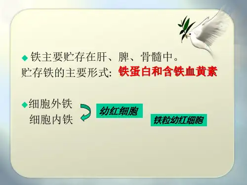 最新：铁代谢障碍贫血-文档资料