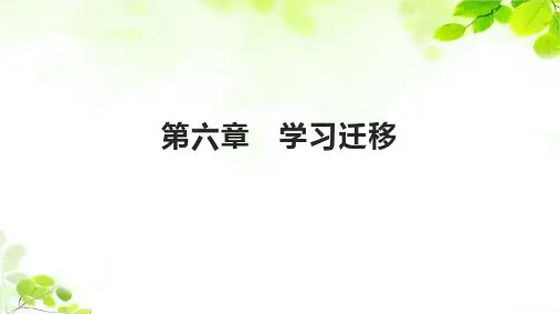 《教育心理学》课件——第六章 学习迁移