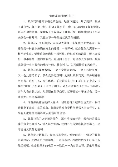 紫藤花开时的好句子