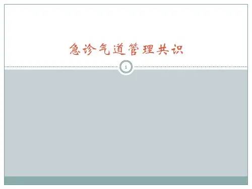 日急诊气道管理PPT课件