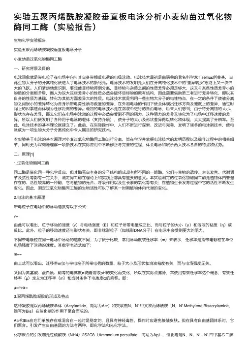 实验五聚丙烯酰胺凝胶垂直板电泳分析小麦幼苗过氧化物酶同工酶（实验报告）