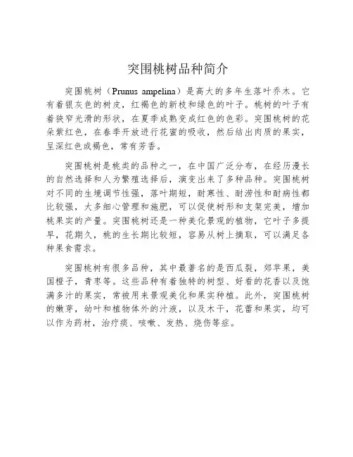 突围桃树品种简介