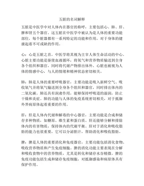 五脏的名词解释