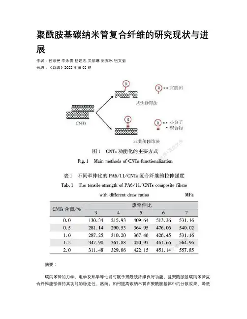 聚酰胺基碳纳米管复合纤维的研究现状与进展