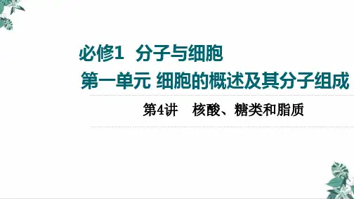 [人教版]高中化学教材《核酸》PPT教用课件