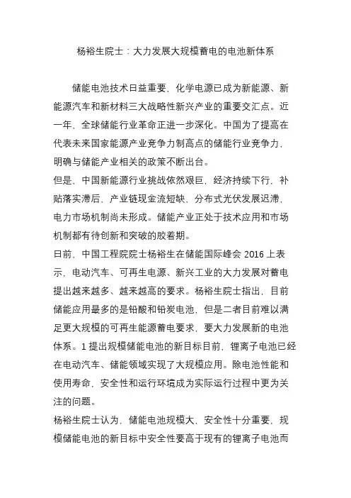杨裕生院士：大力发展大规模蓄电的电池新体系