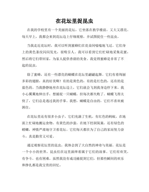 小学三年级作文这儿真美范文在花坛里捉昆虫