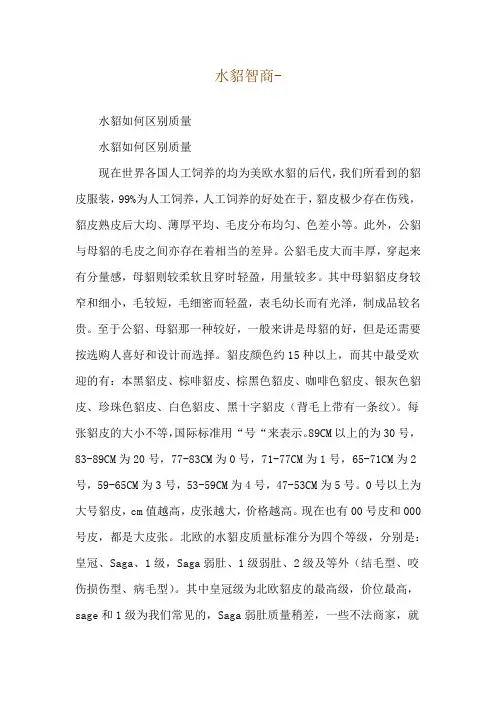 水貂智商--水貂如何区别质量