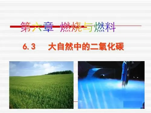 大自然中的二氧化碳PPT课件5 鲁教版