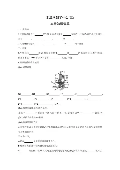 华师大版科学七年级上册 第4章  生物体的结构层次  单元复习(word版 含答案)