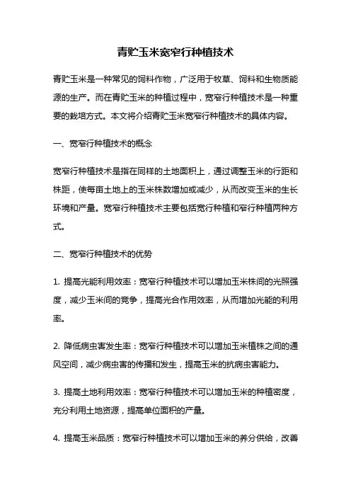 青贮玉米宽窄行种植技术