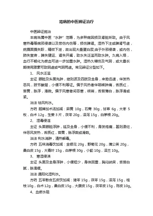 肾病的中医辨证治疗