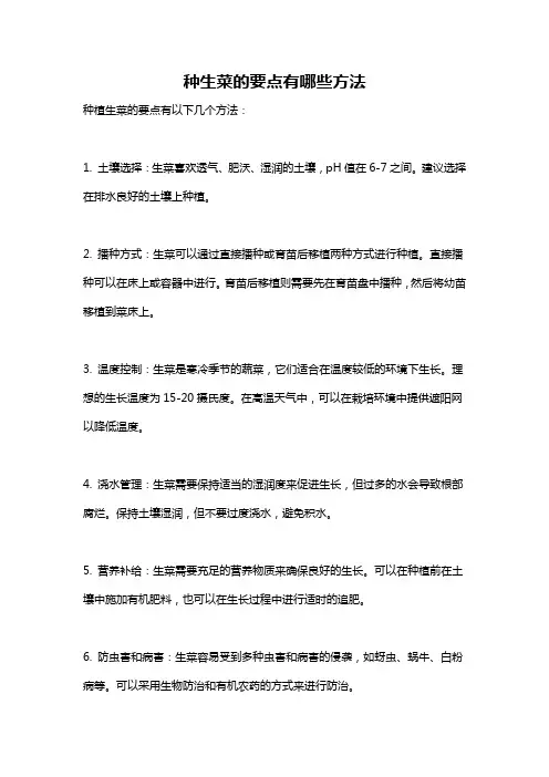 种生菜的要点有哪些方法