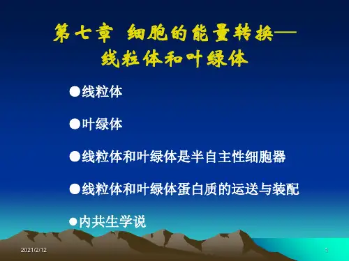 叶绿体和线粒体