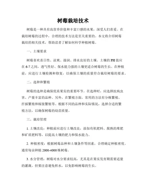 树莓栽培技术