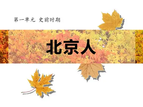 《北京人》史前时期课件PPT