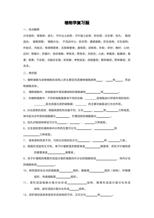 植物学复习题