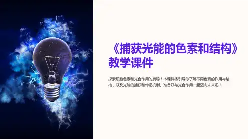 《捕获光能的色素和结构》教学课件