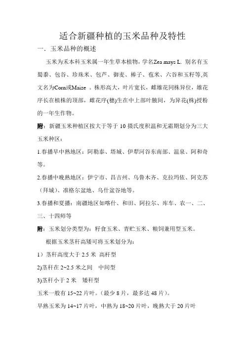 适合新疆种植的玉米品种与特性