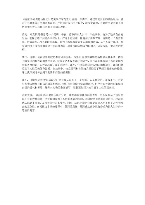 《哈克贝利费恩历险记》读后感