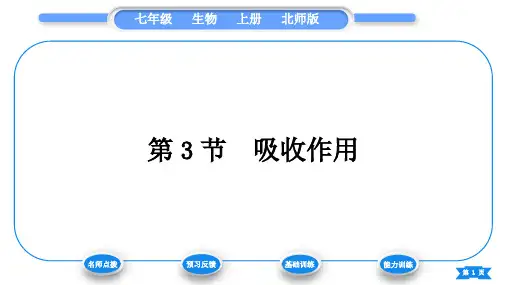 北师大版七年级生物上第3单元生物圈中的绿色植物第5章绿色开花植物的生活方式第3节吸收作用习题课件