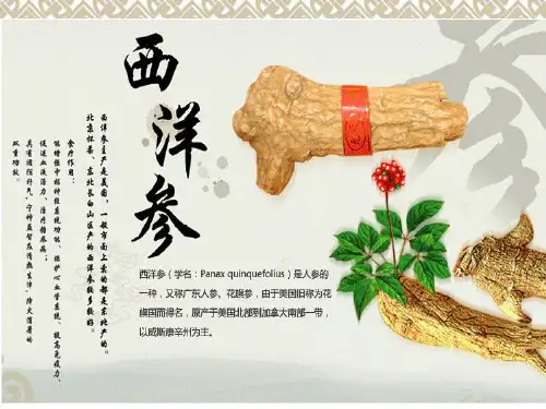 西洋参提取工艺总结讲解