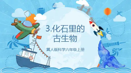 1.3 化石里的古生物(课件)-六年级科学上册(冀人版)