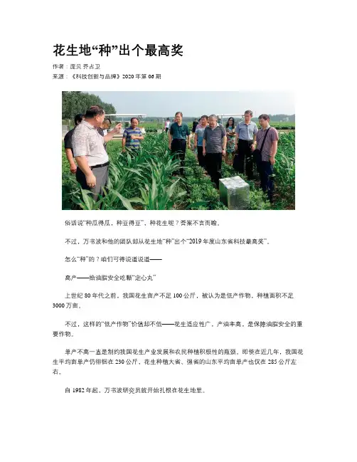 花生地“种”出个最高奖