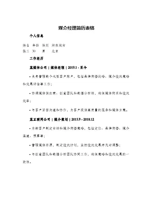 媒介经理简历表格