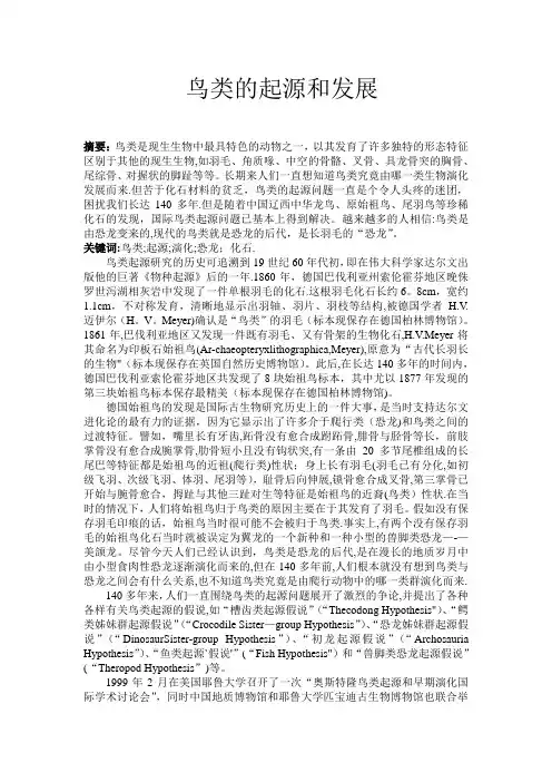 鸟类的起源和发展